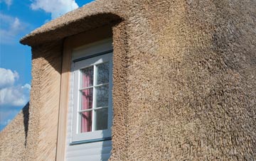 Seafield thatch roof disadvantages